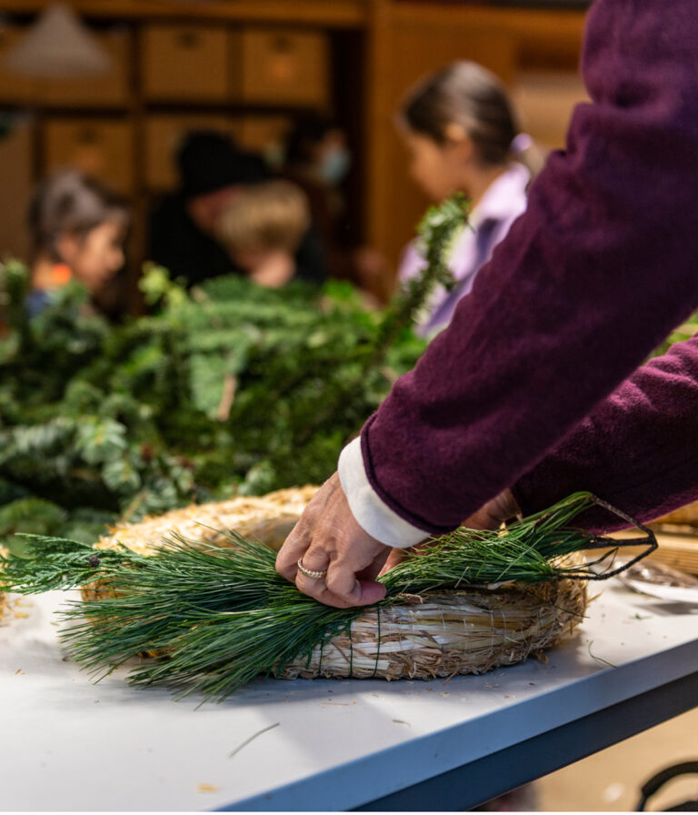 Montessori Nürnberg | Startseite des MONTESSORI Zentrum Nürnberg