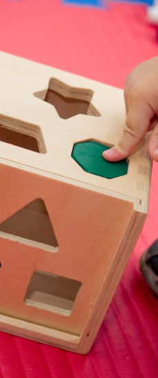 Toddler playing with wooden shape sorter